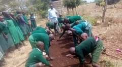 Training School children Tree Planting