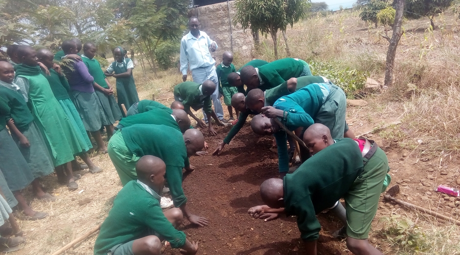 Training School children Tree Planting