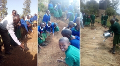 Tree Planting Sessions